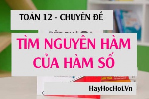 Cách tìm nguyên hàm của hàm số f(x) và Bài tập vận dụng (đầy đủ, dễ hiểu nhất) - Toán 12 Chuyên đề